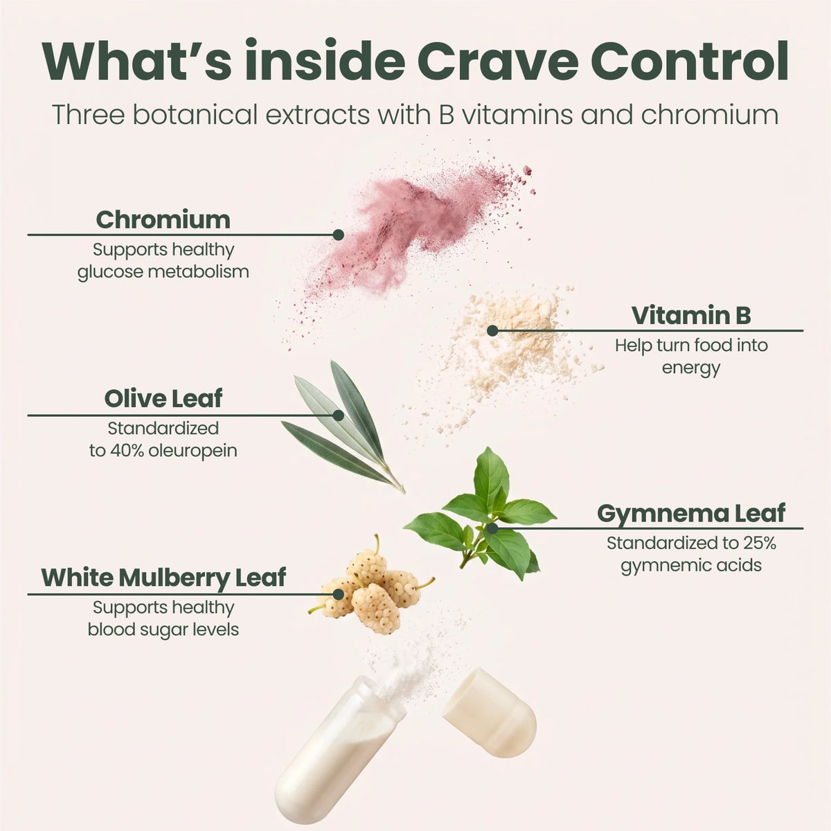 Crave Control gallery 05